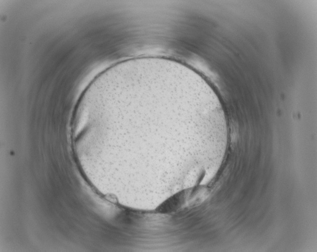 X0000078311423200611251522