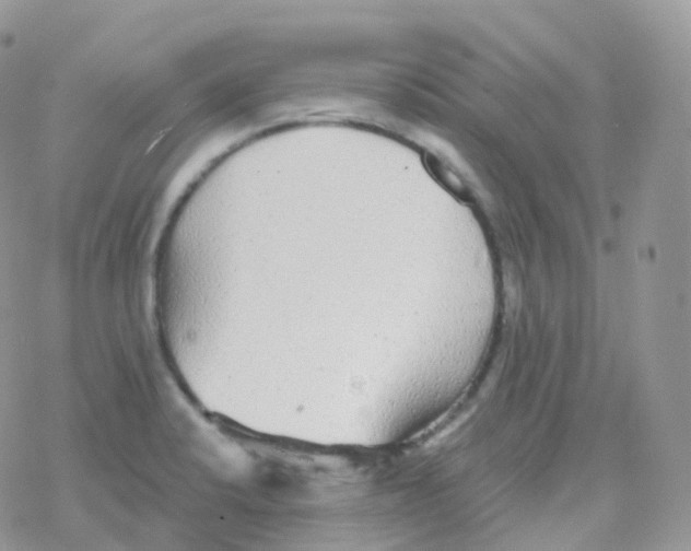 X0000078311424200611251522