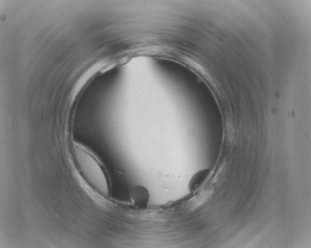 X0000078311426200611251522