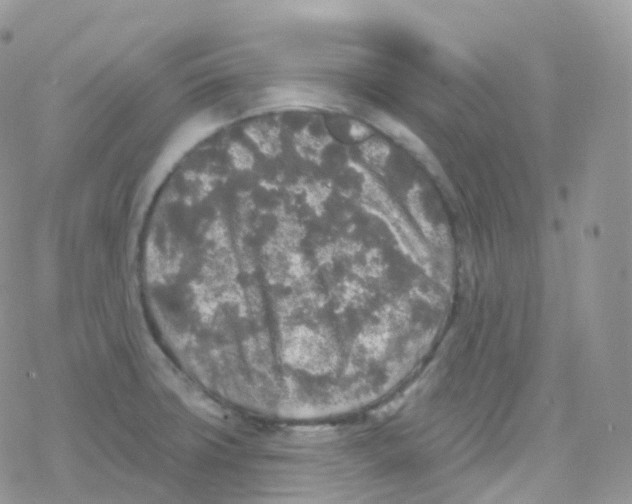 X0000078311427200611251522