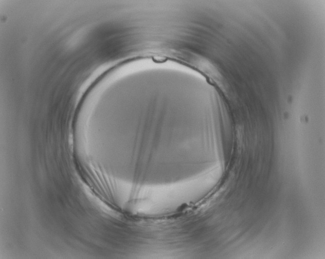 X0000078311428200611251522