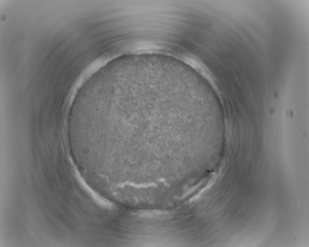 X0000078311429200611251522