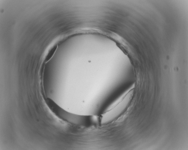 X0000078311430200611251522