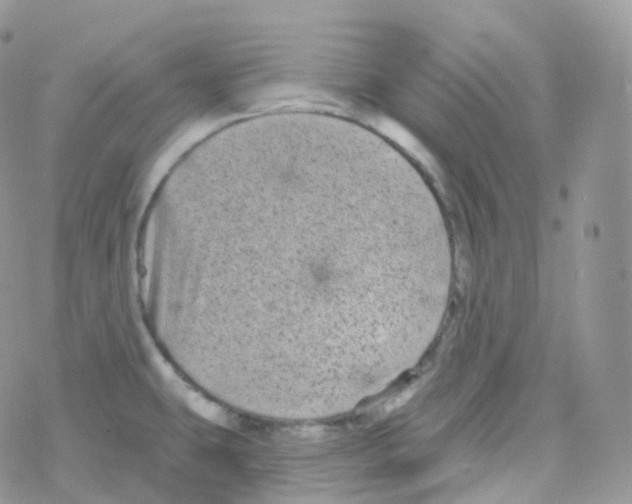 X0000078311431200611251522