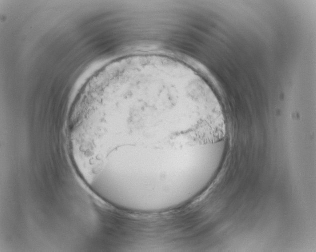 X0000078311432200611251522