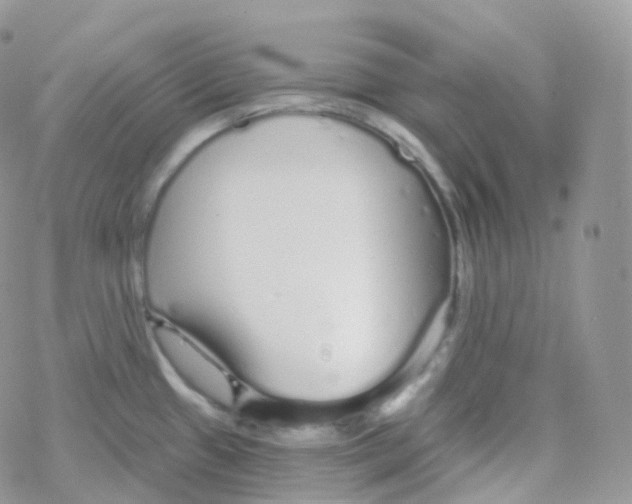 X0000078311433200611251522