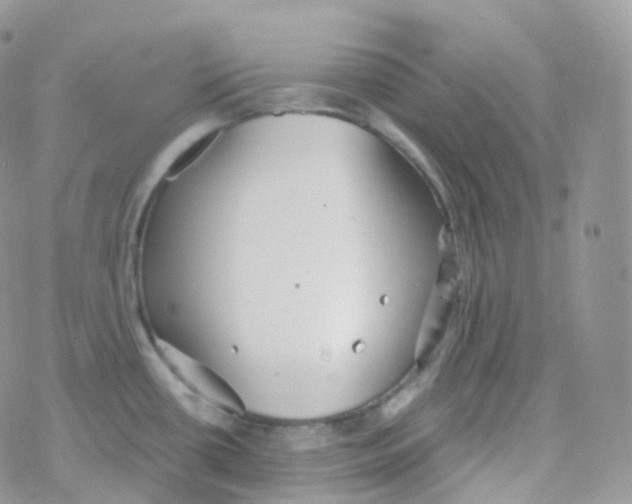 X0000078311434200611251522