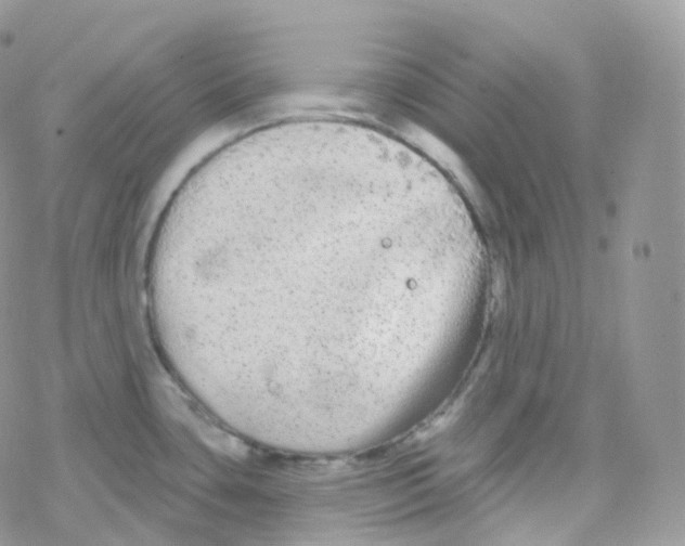 X0000078311435200611251522