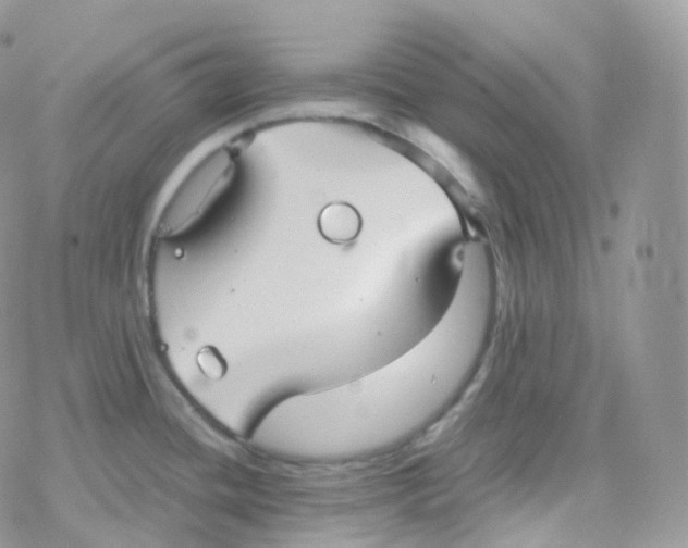 X0000078311436200611251522