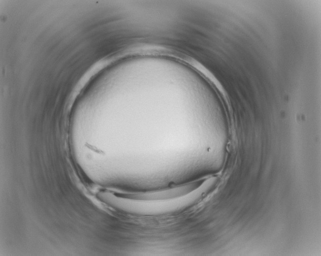 X0000078311437200611251522