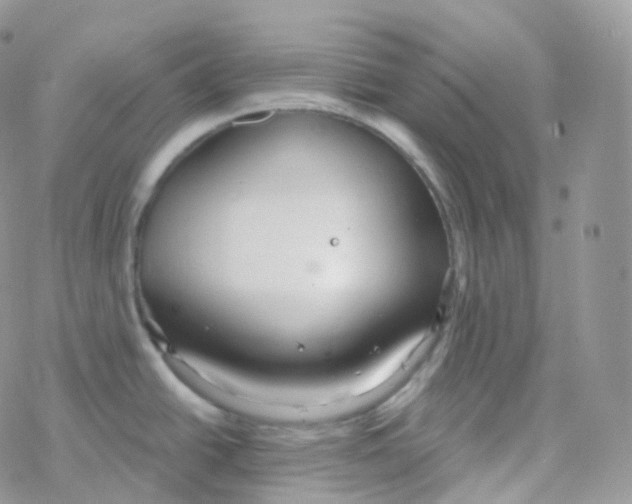 X0000078311438200611251522