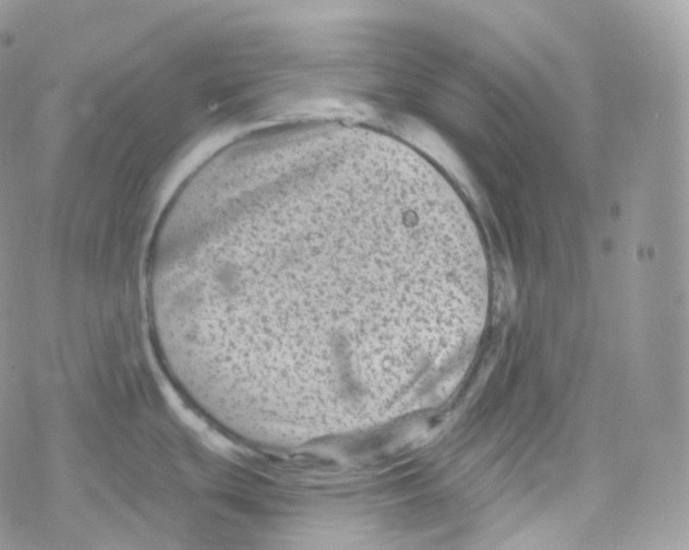 X0000078311439200611251522