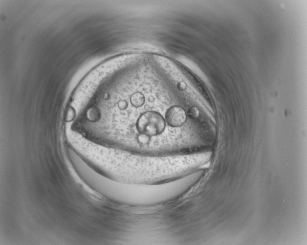 X0000078311440200611251522