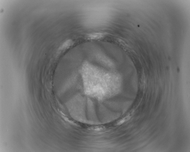 X0000078311441200611251522