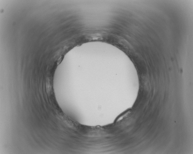 X0000078311442200611251522