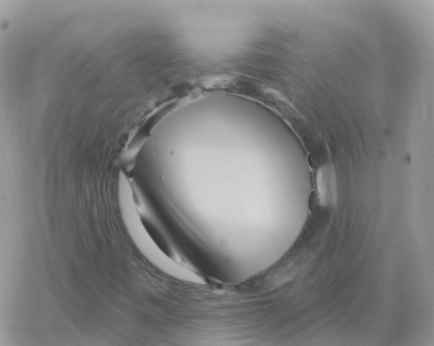 X0000078311443200611251522