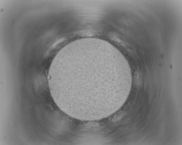 X0000078311446200611251521