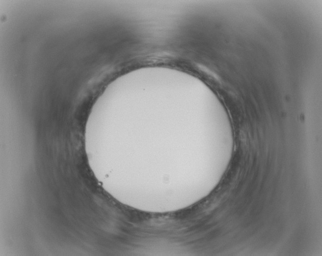 X0000078311447200611251521