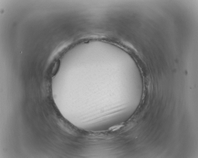 X0000078311448200611251521