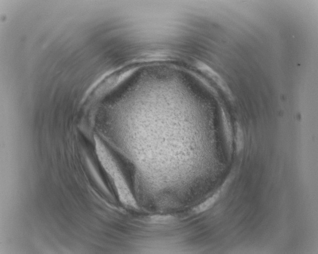 X0000078311449200611251521