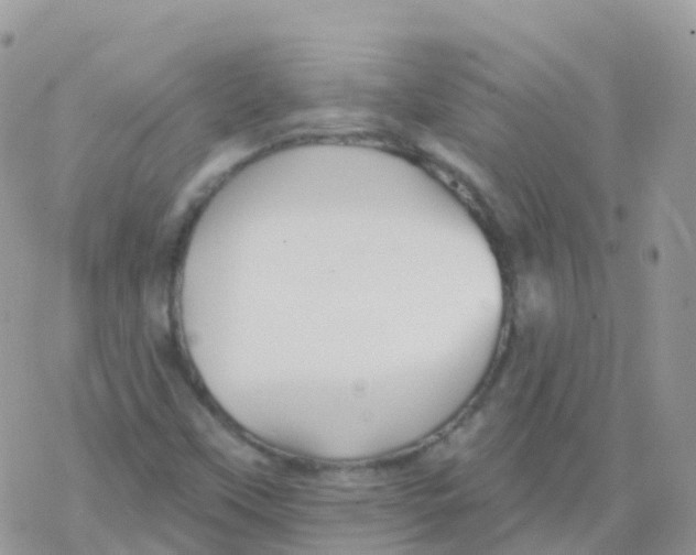 X0000078311451200611251521