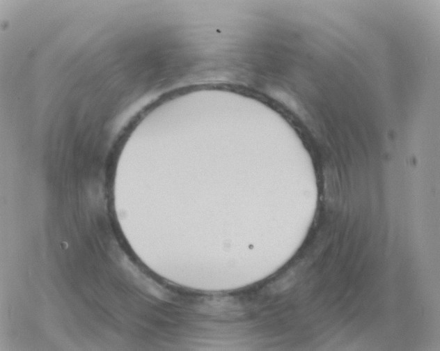 X0000078311452200611251521