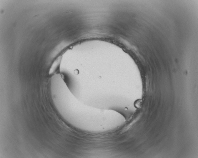 X0000078311453200611251521