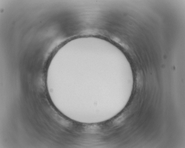 X0000078311454200611251521