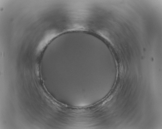 X0000078311455200611251521