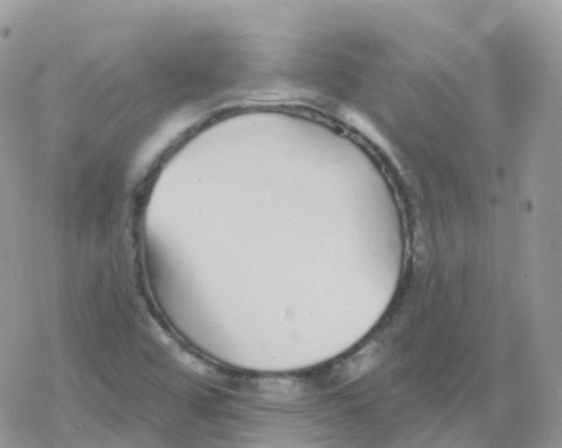 X0000078311456200611251521