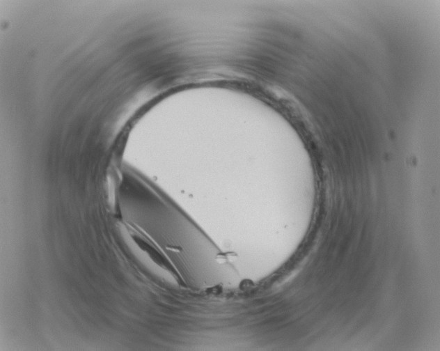 X0000078311457200611251521