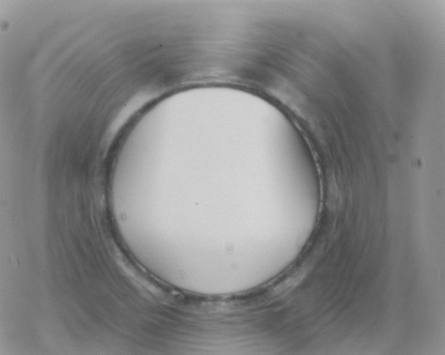 X0000078311458200611251521