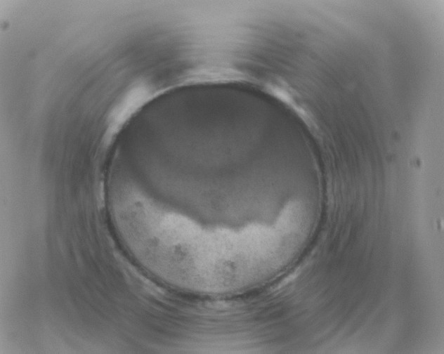 X0000078311459200611251521