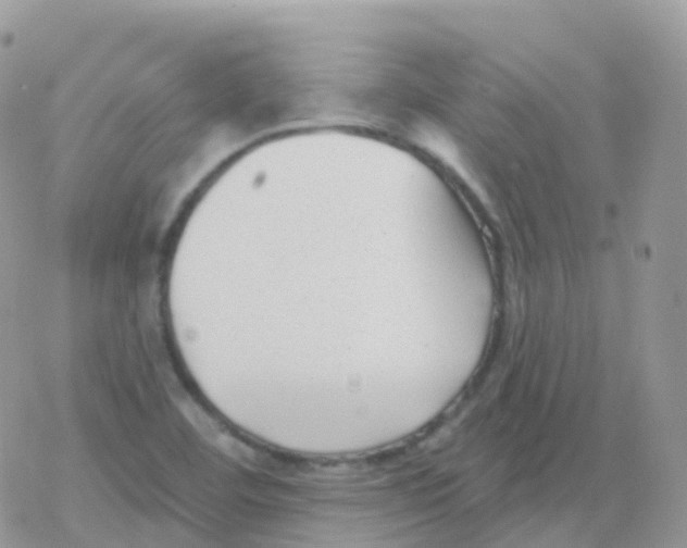 X0000078311460200611251521