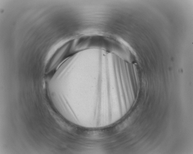 X0000078311461200611251521