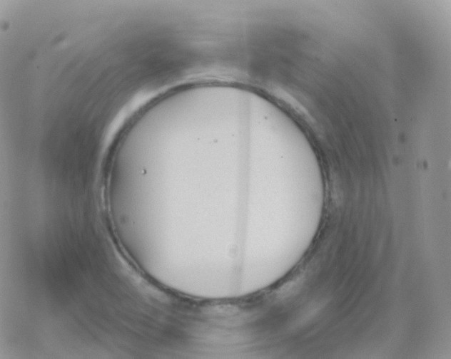 X0000078311462200611251521