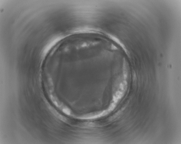 X0000078311463200611251521