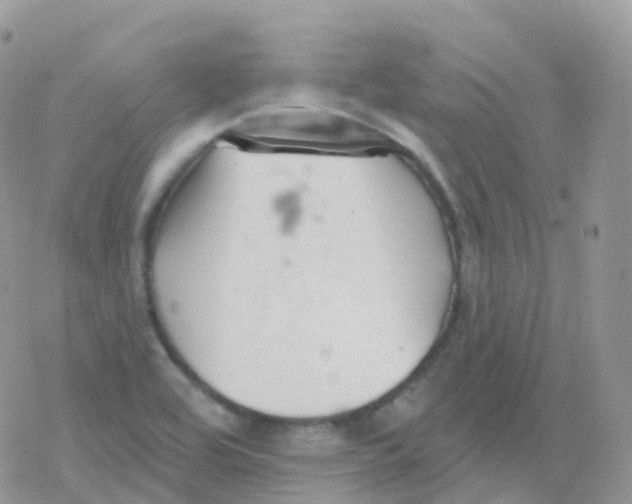 X0000078311464200611251521