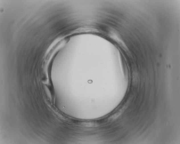 X0000078311465200611251521