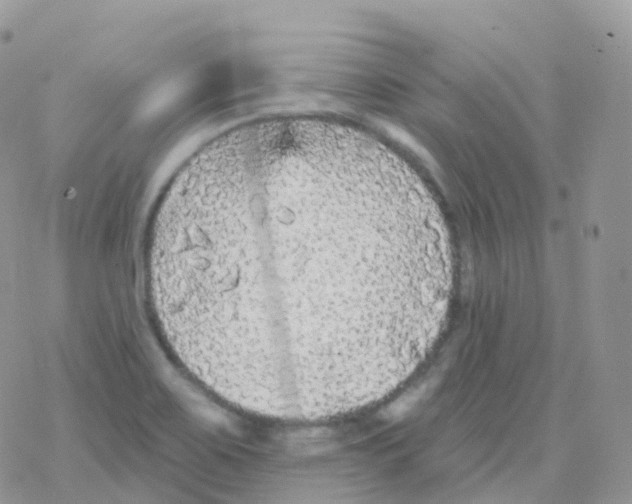 X0000078311467200611251521