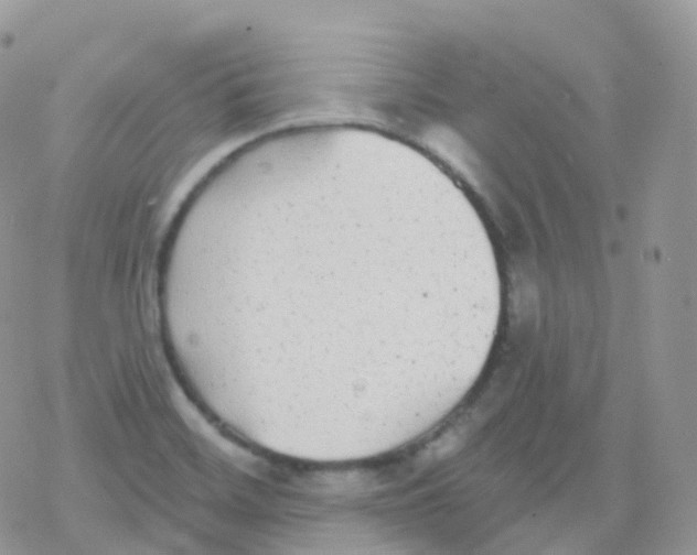 X0000078311468200611251521