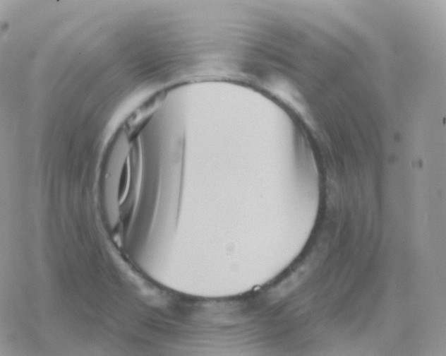 X0000078311469200611251521