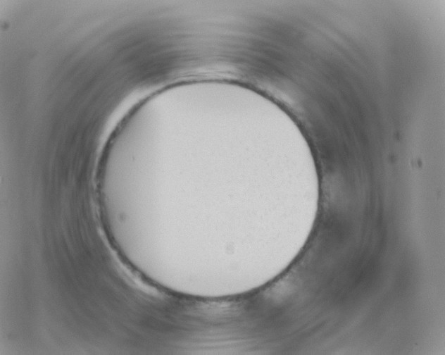 X0000078311470200611251521