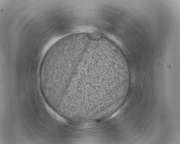 X0000078311471200611251521