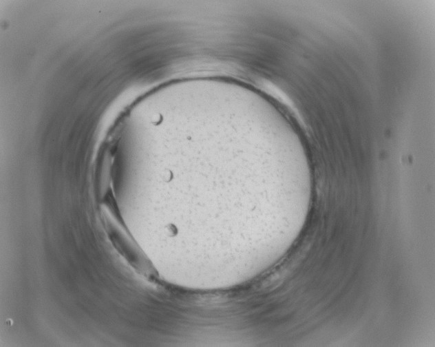 X0000078311472200611251521