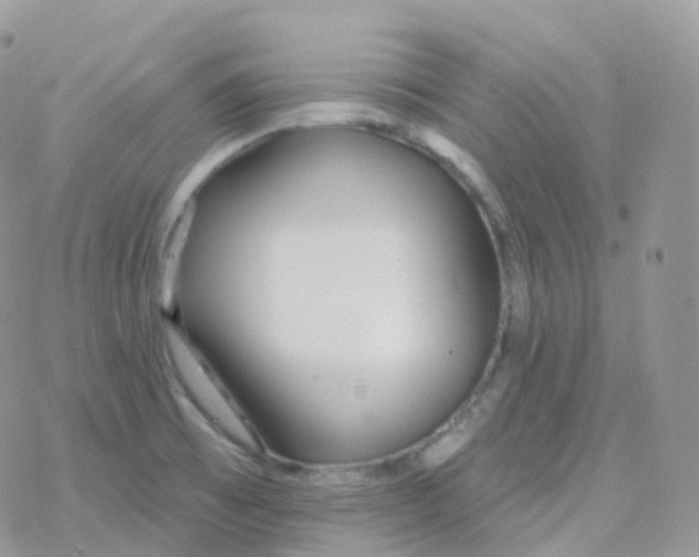 X0000078311473200611251521