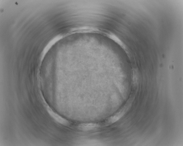 X0000078311474200611251521