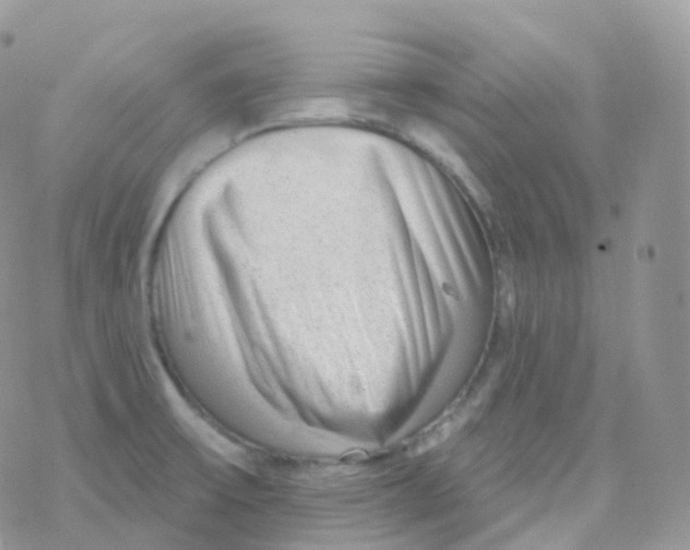 X0000078311475200611251521