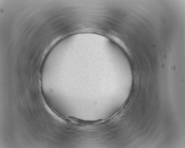 X0000078311476200611251521