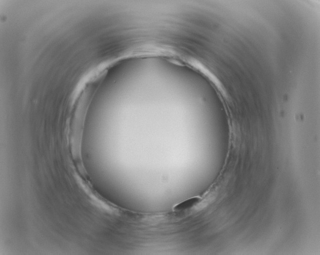 X0000078311477200611251521